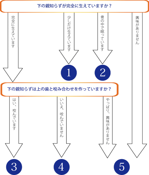 親知らずフローチャート